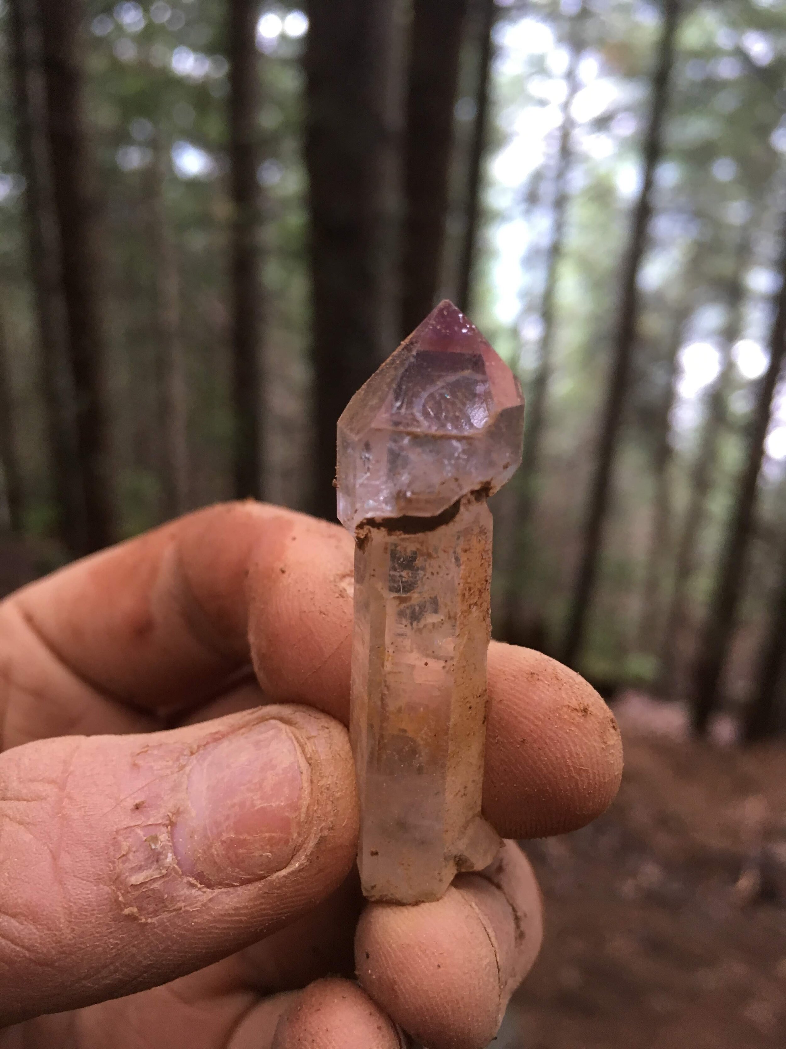 A fine-quality amethyst scepter with a mobile enhydro from the Hansen Creek area.