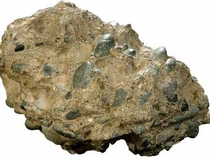In contrast, here’s some conglomerate. This type of sedimentary rock is made of gravel and if you look closely you’ll find that there’s a wide variety of grain sizes.