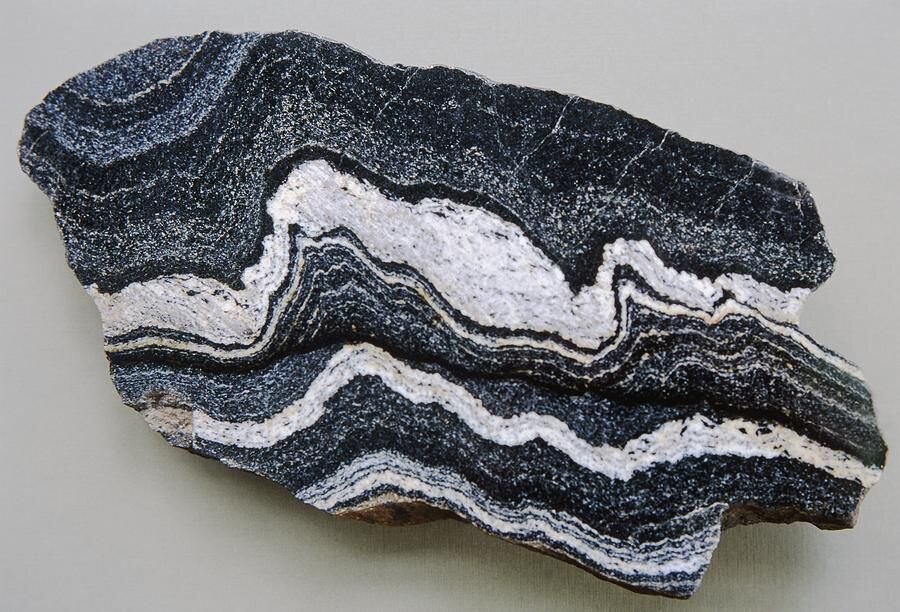 A classic piece of gneiss showing the typical wavy patterns. This rock has been crushed and literally folded.