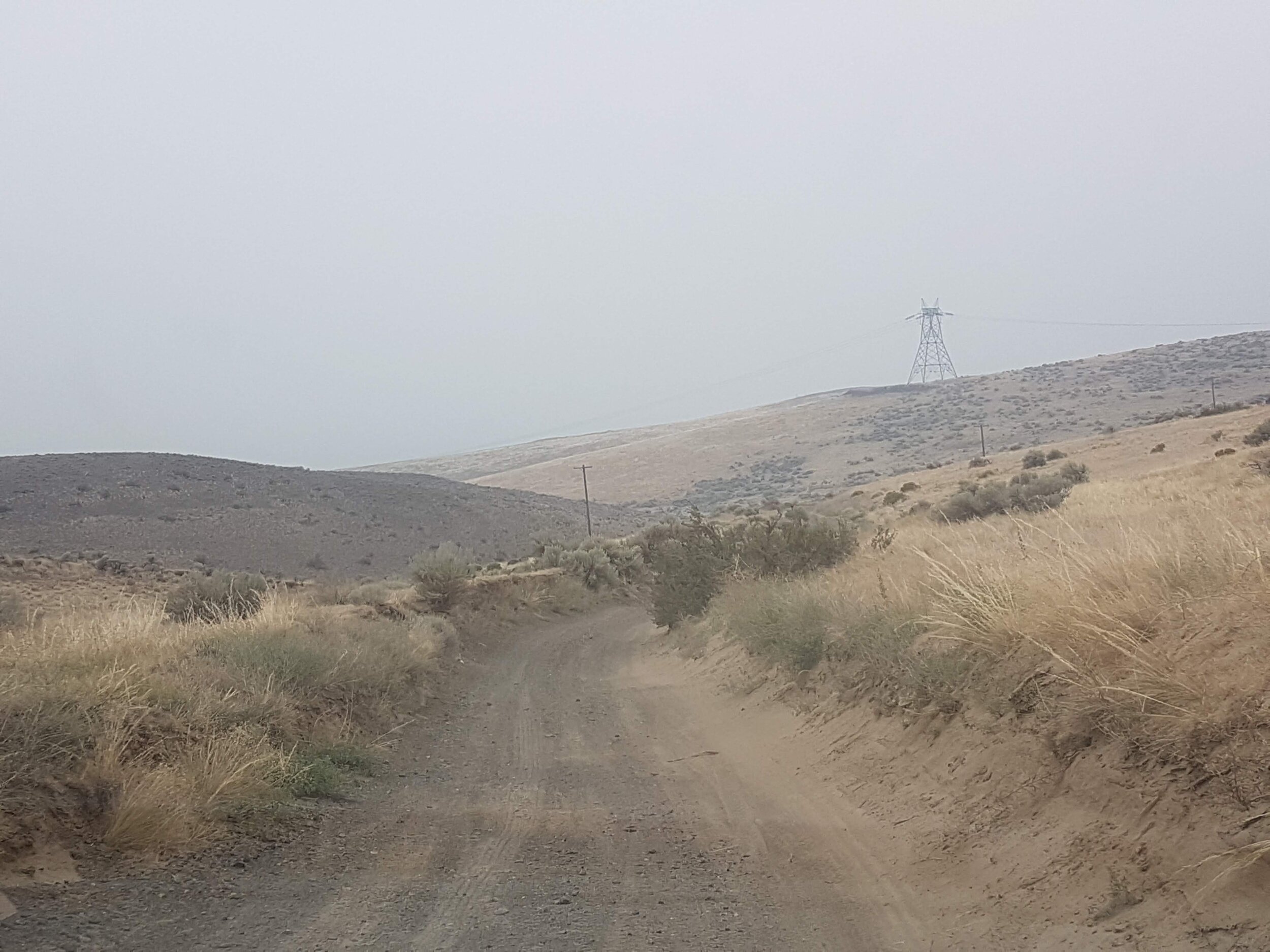 Road out from the diggings. Gentle hills abound, making traversing and prospecting easy.