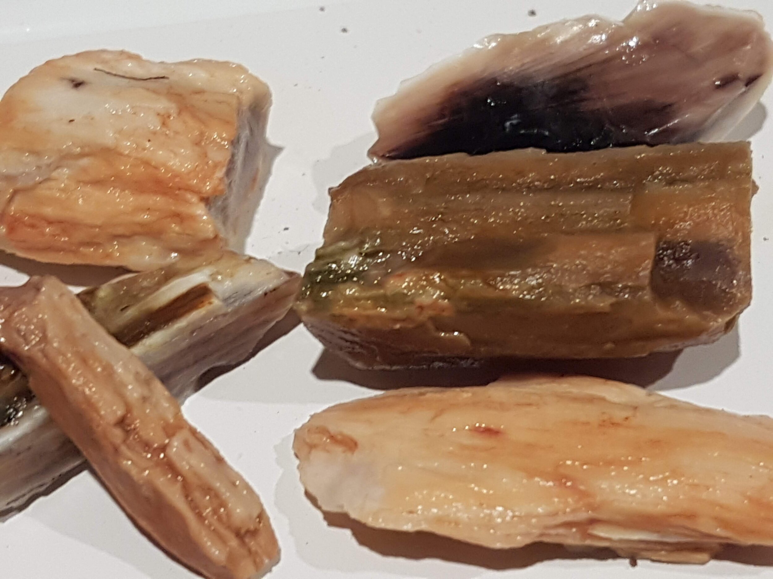 Small pieces of petrified wood from Saddle Mountain.