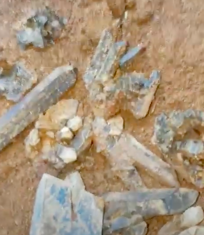 Spread of crystals fresh from the 5-Gallon. Note long crystal to the left, measures 8cm.