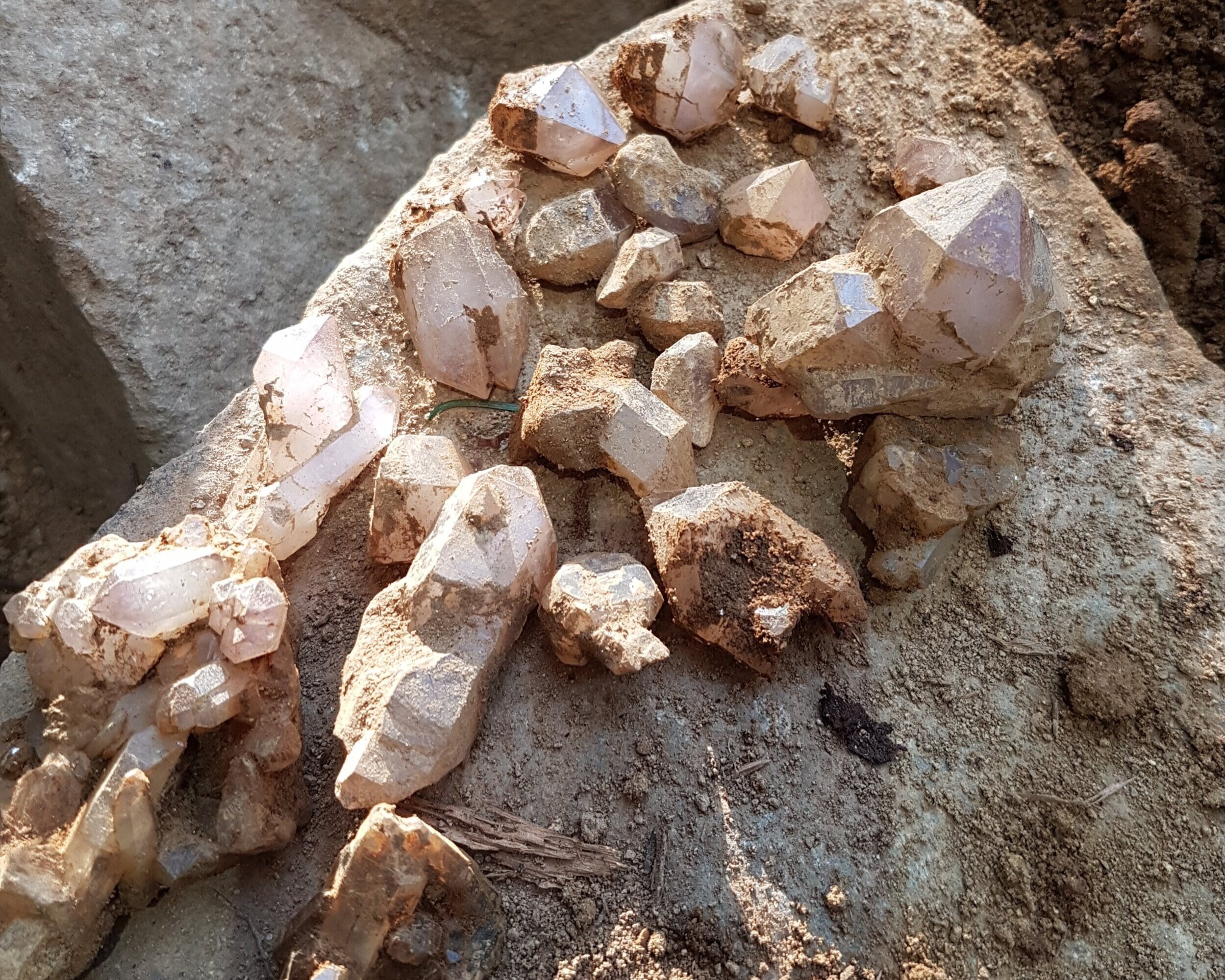 Spread of amethyst crystals from the first day of digging the Breadcrumb Pocket.