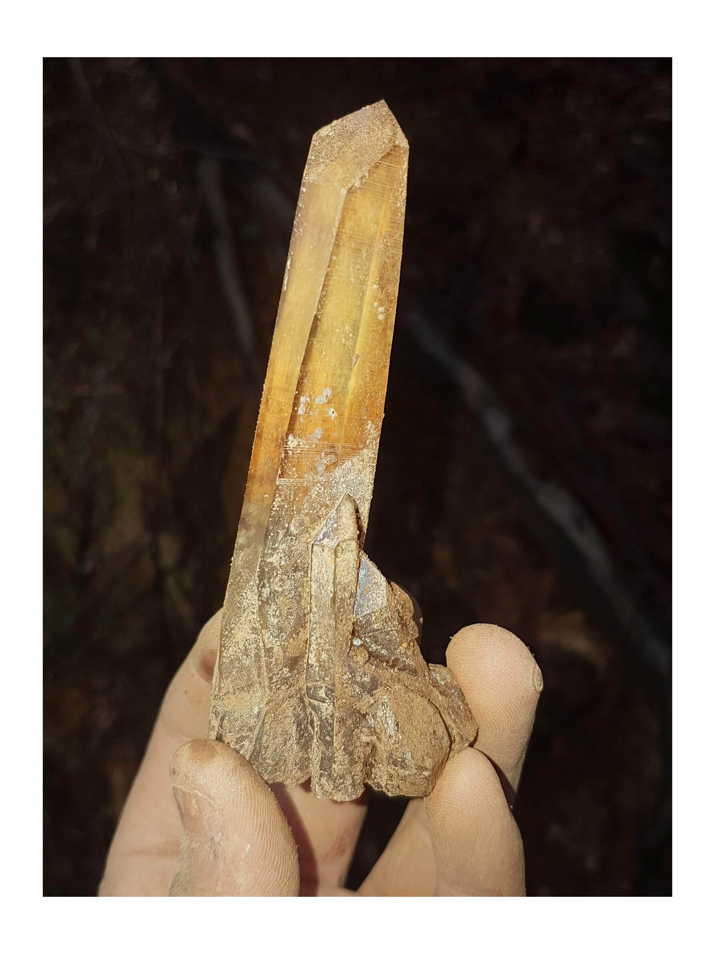 Quartz cluster with huge 10cm+ crystal from the SK Pocket. Collected by Michael, Aug 21st.